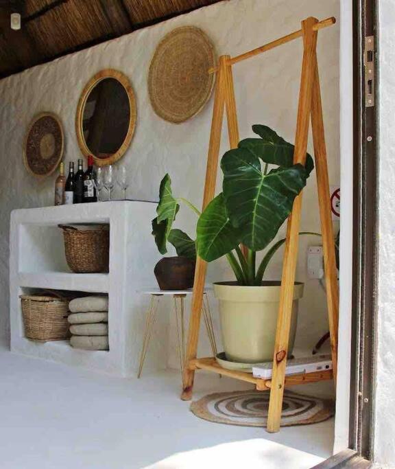 Hot Spring Bungalow In Limpopo Gemsbokfontein Kültér fotó