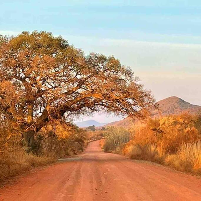 Hot Spring Bungalow In Limpopo Gemsbokfontein Kültér fotó