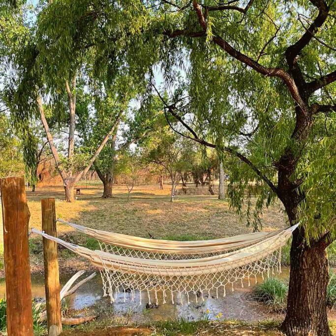 Hot Spring Bungalow In Limpopo Gemsbokfontein Kültér fotó